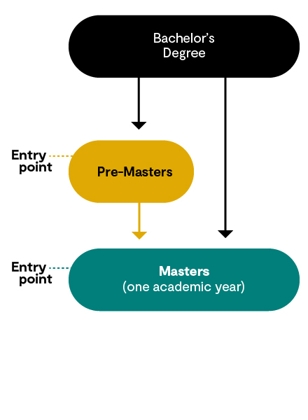 Flowchart describing the two entry points to postgraduate university study in Germany with Navitas, including Pre-Masters programs or direct postgraduate degree entry.